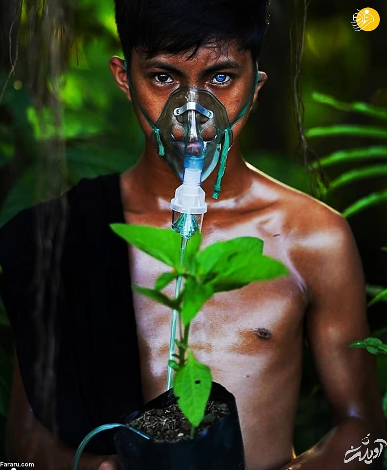 (تصاویر) (تصاویر)